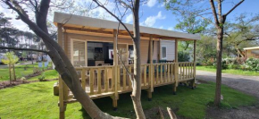 Mobil-home 5 pers climatisé - Plage et forêt - Camping Les Oyats Seignosse